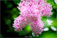 /album/galerie-foto/a5-jpeg/