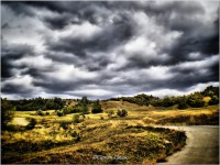 /album/galerie-foto/a8-jpeg/