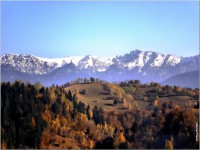 /album/galerie-foto/a19-jpeg/