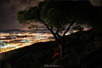 /album/galerie-foto/dc7588e564f3540406830fd8a6811d60-jpeg/