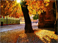 /album/galerie-foto/x-jpeg/