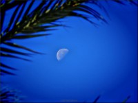 /album/galerie-foto/a1-jpeg/