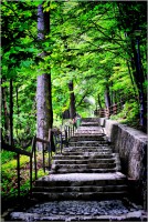 /album/galerie-foto/xxx-jpeg/