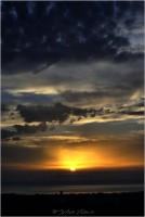 /album/galerie-foto/dsc0490-jpg/