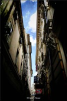 /album/galerie-foto/dsc0233-jpg/