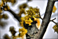 /album/galerie-foto/dsc0062-jpg/