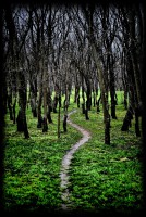 /album/galerie-foto/dsc0082-jpg/