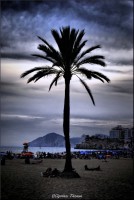 /album/galerie-foto/dsc0961-jpg/