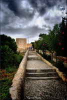 /album/galerie-foto/dsc0413-jpg/