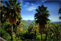 /album/galerie-foto/dsc0871-jpg/