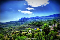 /album/galerie-foto/dsc0879-jpg/