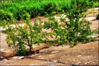 /album/galerie-foto/dsc0022-jpg/