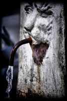 /album/galerie-foto/dsc0131-jpg/