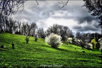 /album/galerie-foto/dsc0032-jpg/