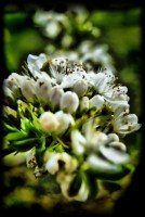 /album/galerie-foto/dsc0015-jpg/