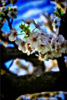 /album/galerie-foto/dsc0005-jpg/