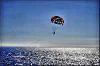 /album/galerie-foto/dsc0272-jpg/