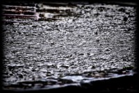 /album/galerie-foto/dsc0884-jpg/