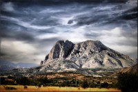 /album/galerie-foto/dsc1021-jpg/