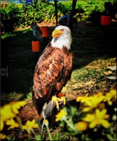 /album/galerie-foto/dsc0488-jpg/