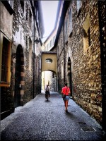 /album/galerie-foto/imgp5716-jpg/