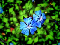 /album/galerie-foto/p9060402-jpg/