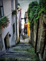 /album/galerie-foto/imgp5670-jpg/