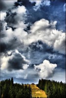 /album/galerie-foto/dsc0232-jpg/