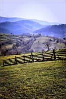 /album/galerie-foto/dsc0379-jpg/