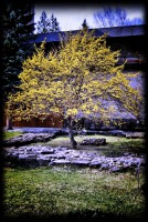 /album/galerie-foto/dsc0271-jpg/