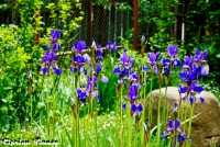 /album/galerie-foto/dsc00181-jpg/