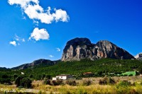 /album/galerie-foto/trippin-jpg/