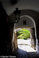 /album/galerie-foto/arcade-jpg/