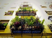 /album/galerie-foto/p9200151-jpg/