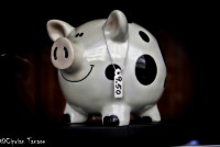 /album/galerie-foto/dsc0295-jpg/