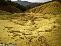 /album/galerie-foto/imgp2102-jpg/