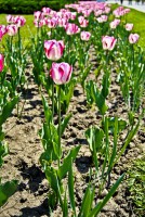 /album/galerie-foto/dsc0391-jpg/