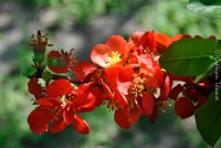 /album/galerie-foto/dsc0412-jpg/