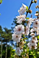 /album/galerie-foto/dsc0417-jpg/