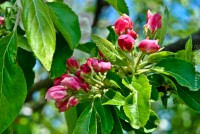 /album/galerie-foto/dsc0421-jpg/