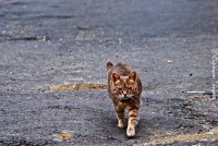 /album/galerie-foto/dsc0122-jpg/