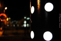 /album/galerie-foto/dsc0065-jpg/