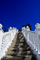 /album/galerie-foto/dsc0299-jpg/