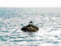 /album/galerie-foto/p7140068-jpg/