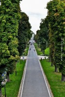 /album/galerie-foto/dsc-3333-jpg/