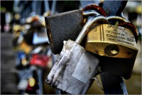 /album/galerie-foto/dsc0119-jpg/