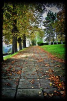 /album/galerie-foto/dsc0176-jpg/